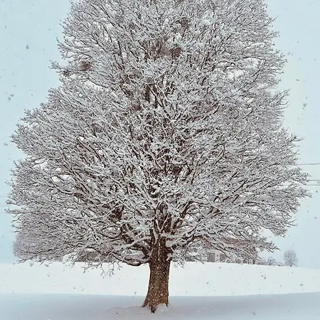 Lägenhet Auszeit Schladming